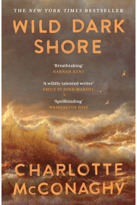 Wild Dark Shore by Charlotte McConaghy