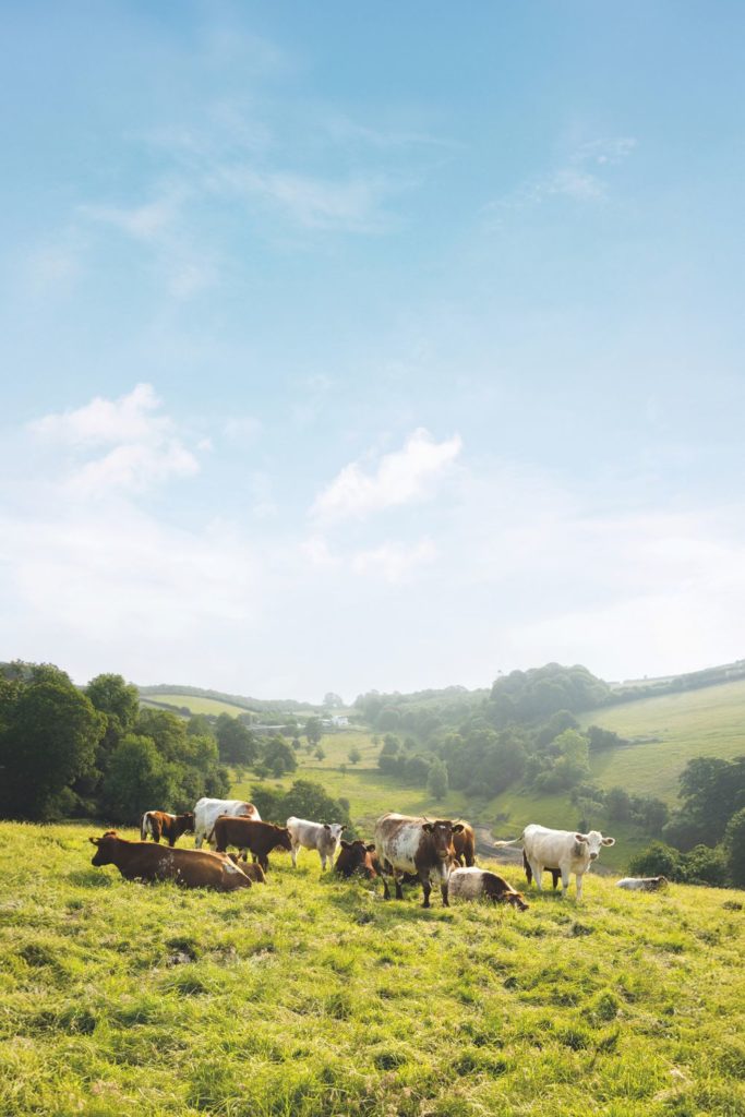 C&TH x Polestar Sustainable Hotel Of The Year Award 2026: Meet The Winners