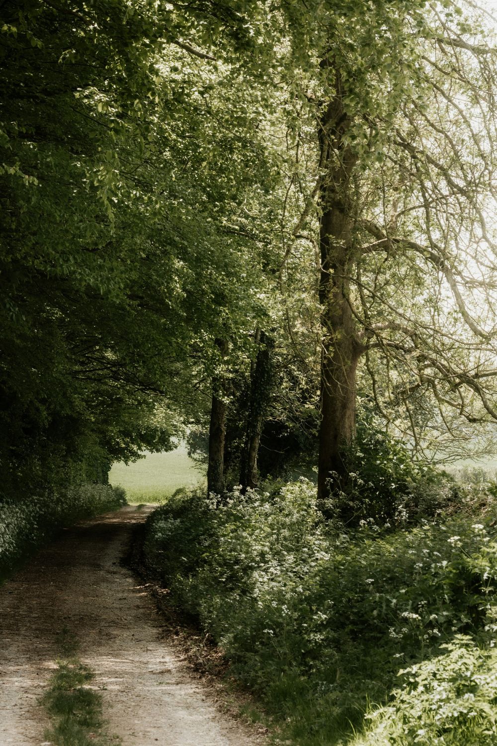 Walk Where The Wild Things Are: Britain's Most Biodiverse Routes