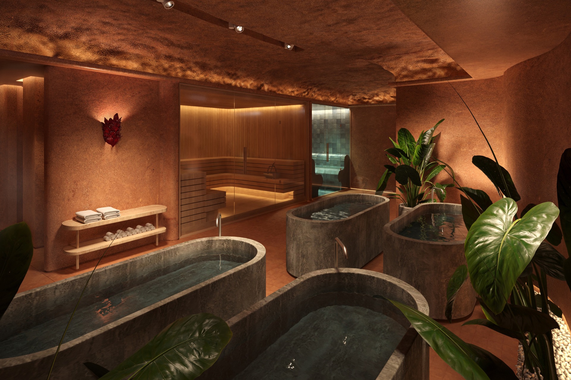 Room with sauna and cold plunge baths