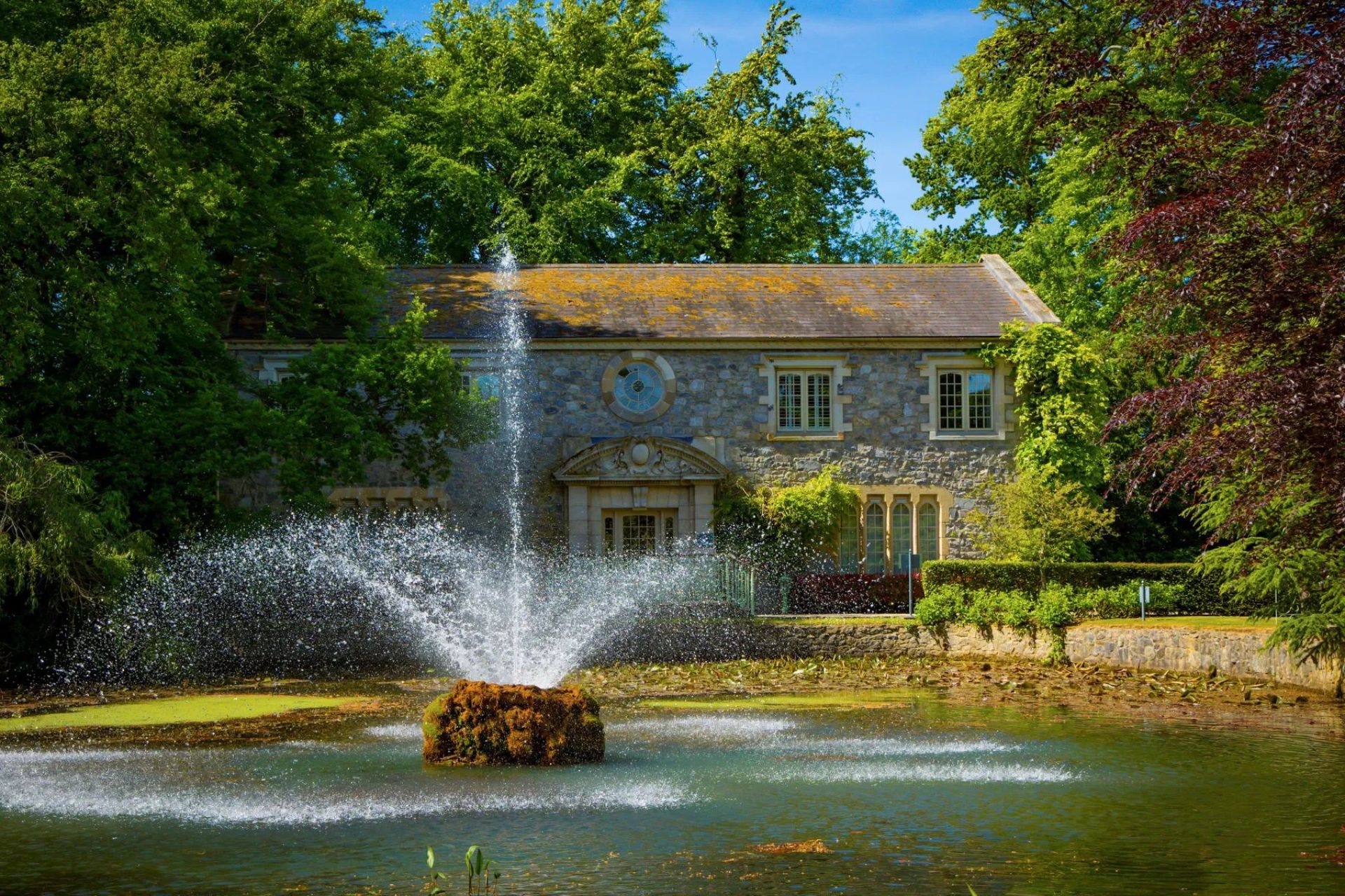 the village at lyons