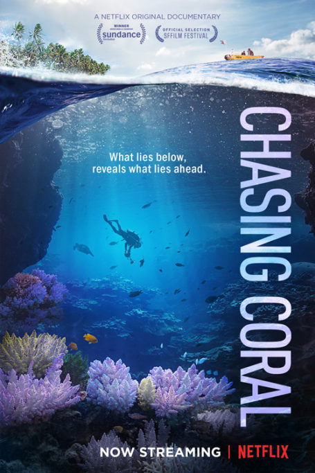 Chasing Coral