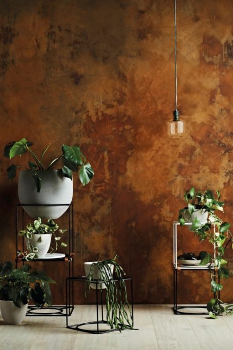Craig & Rose rust effect paint in room with plants