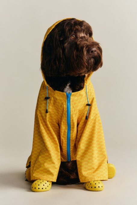 Dog wearing yellow coat and boots