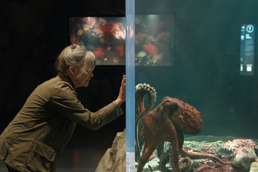 This Bestselling Feel-Good Novel Is Being Made Into A Netflix Film