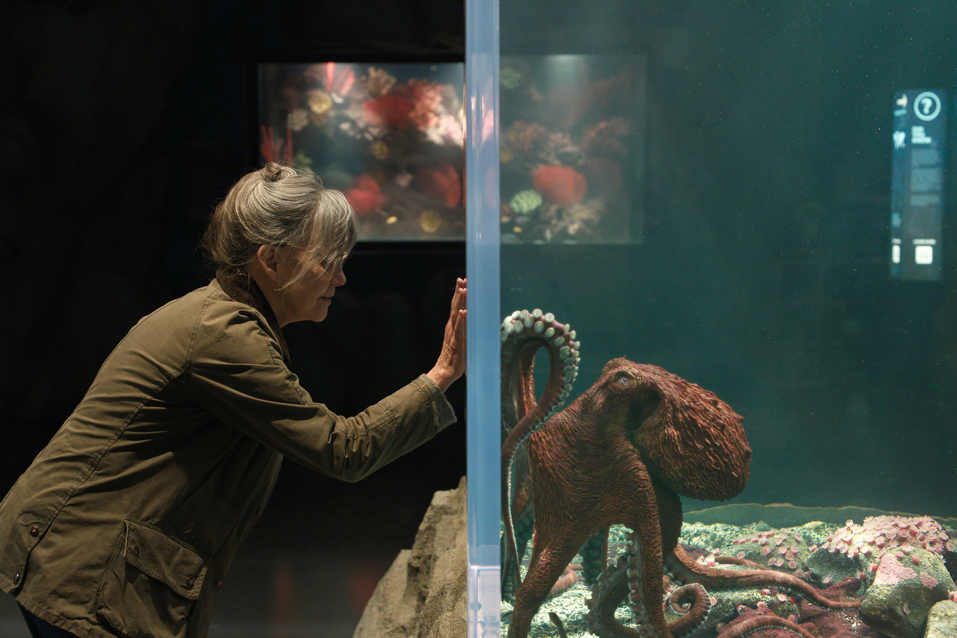 This Bestselling Feel-Good Novel Is Being Made Into A Netflix Film