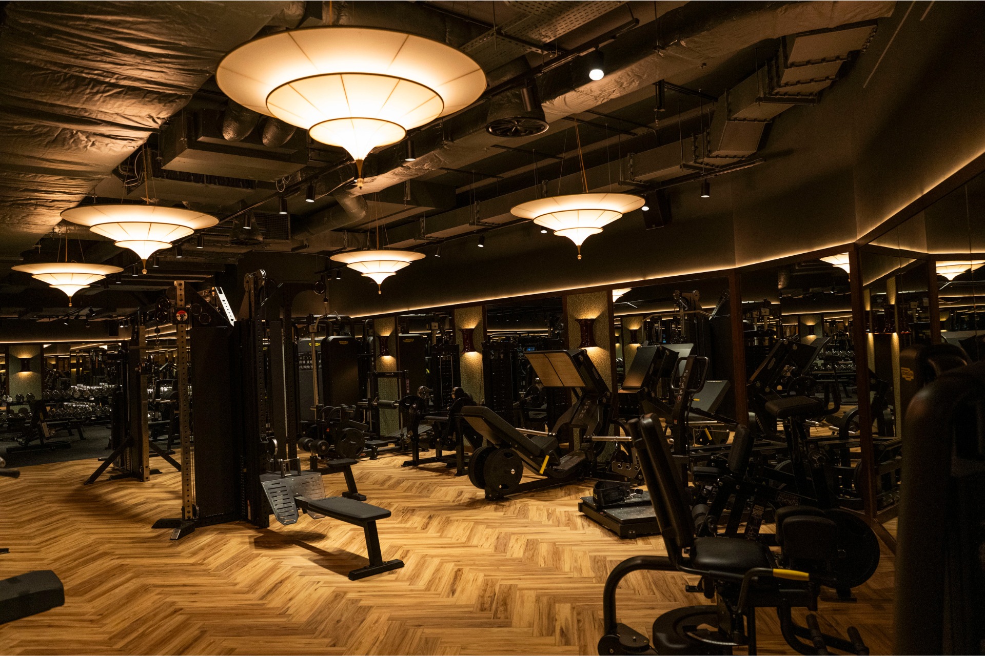 The gym at Tramp Health