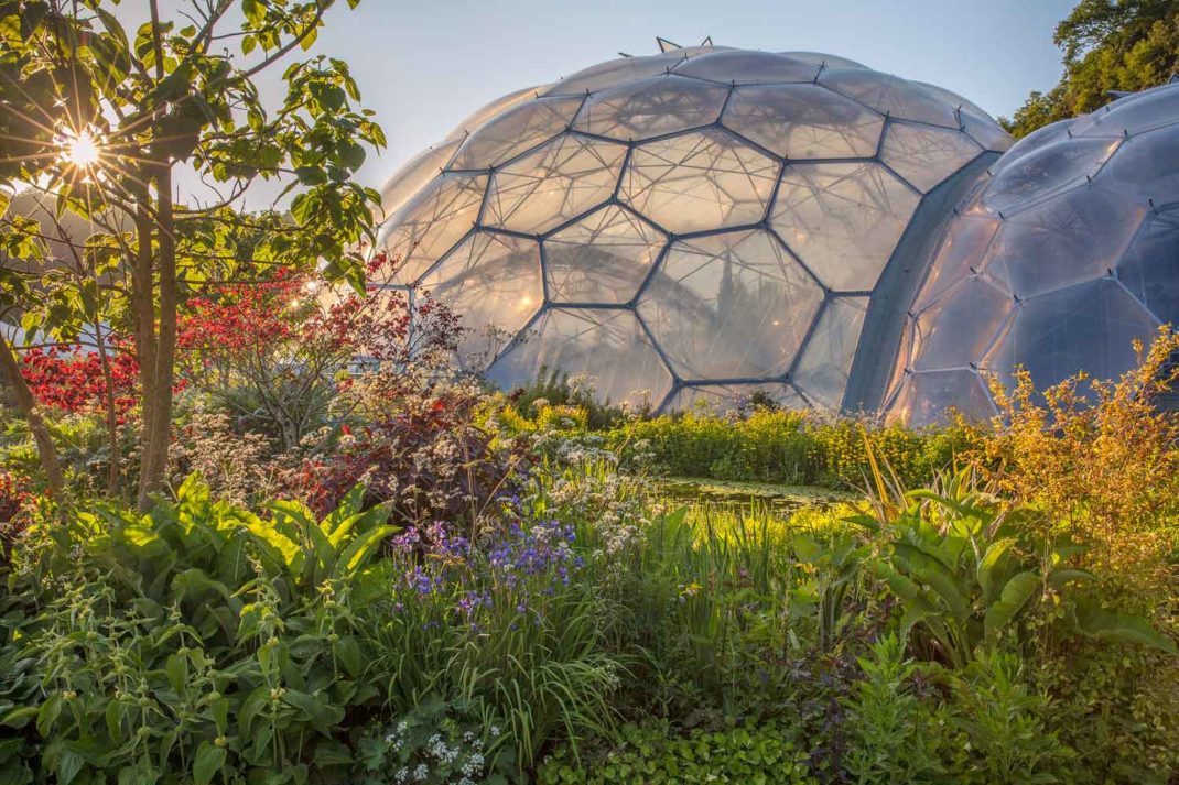 The Eden Project Turns 25