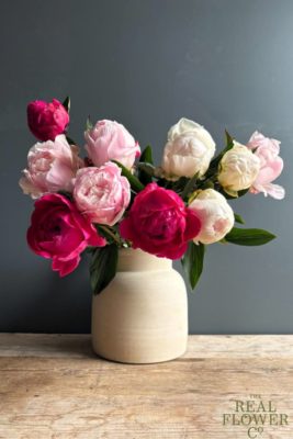 peonies