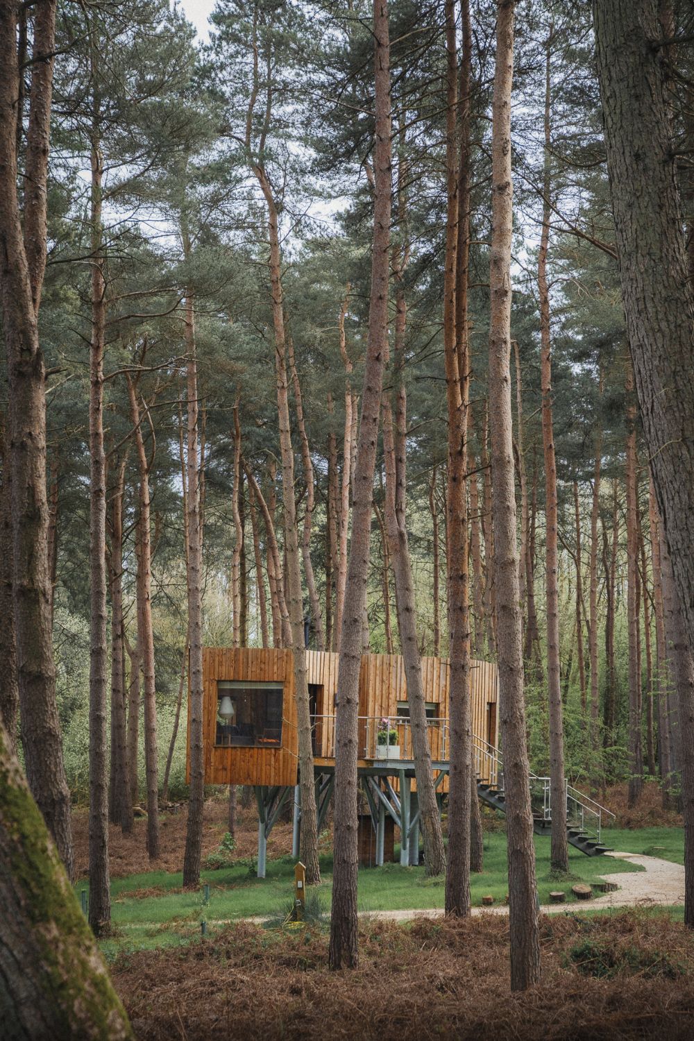 TreeDwellers, Oxfordshire: Rise Above It All With A Stay Suspended In The Trees