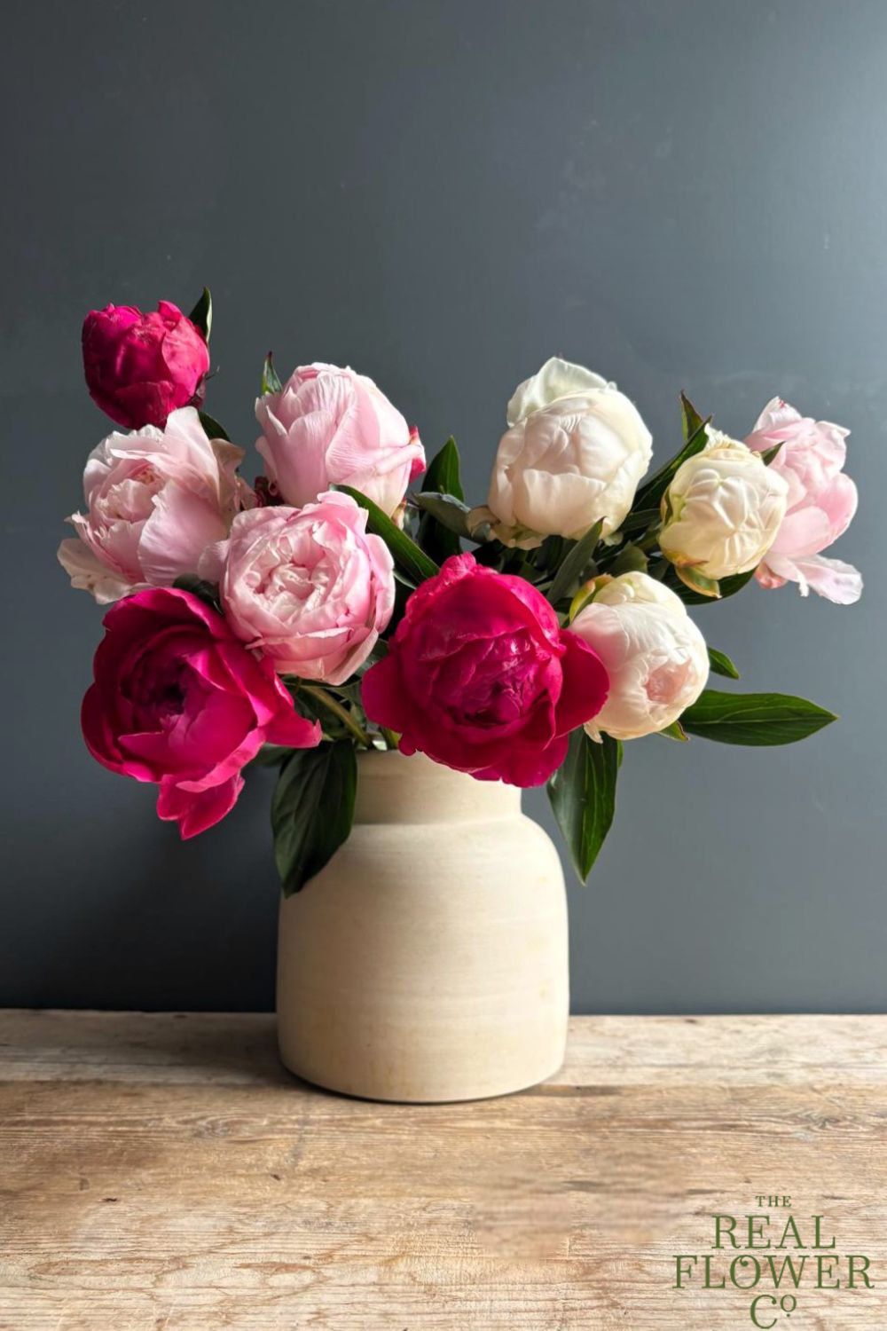 How To Grow Peonies This Spring – Your Expert Guide