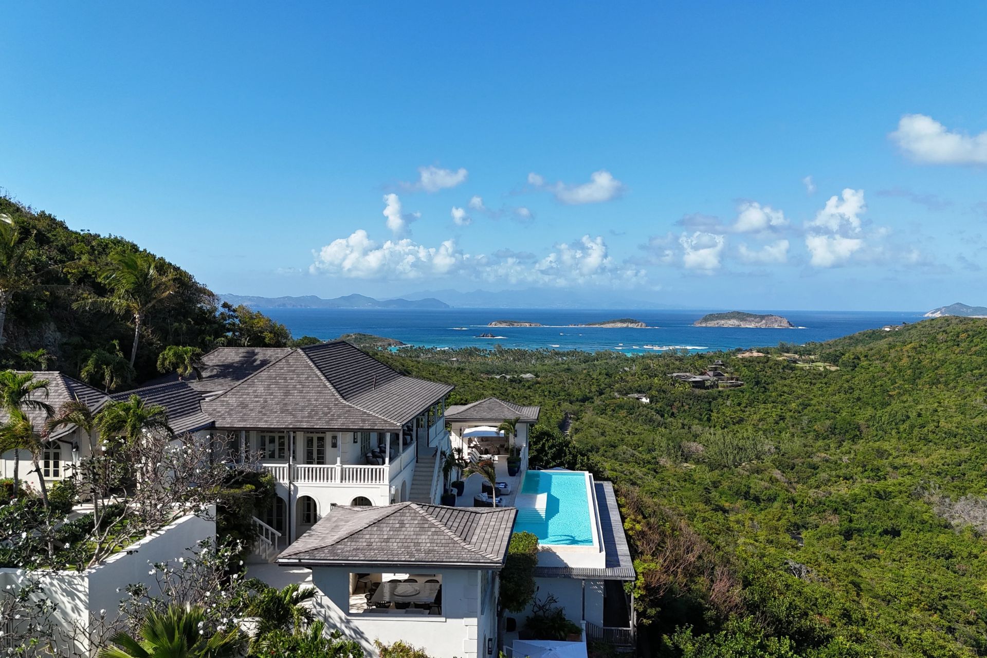 hibiscus mustique