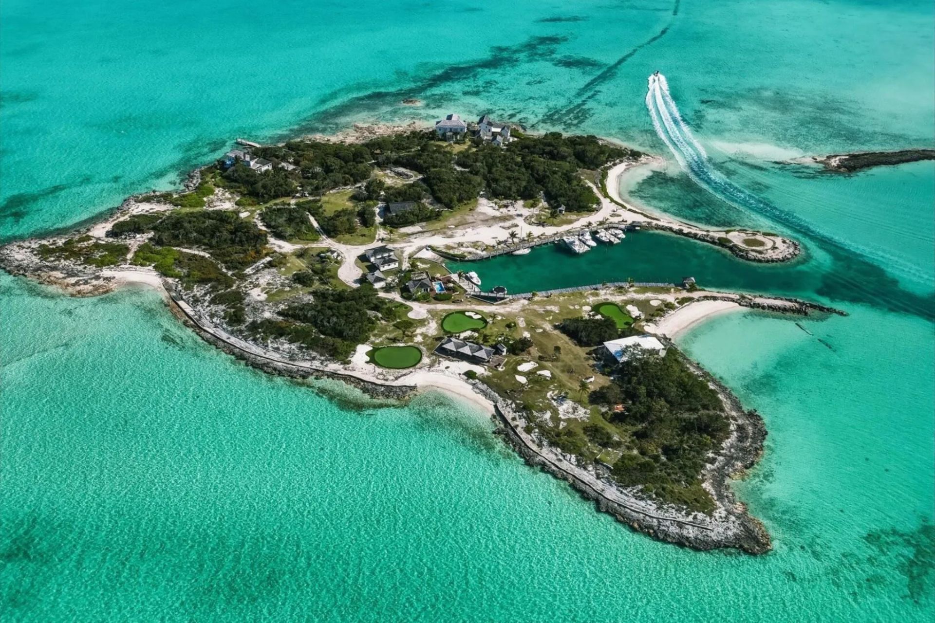 crown pigeon island
