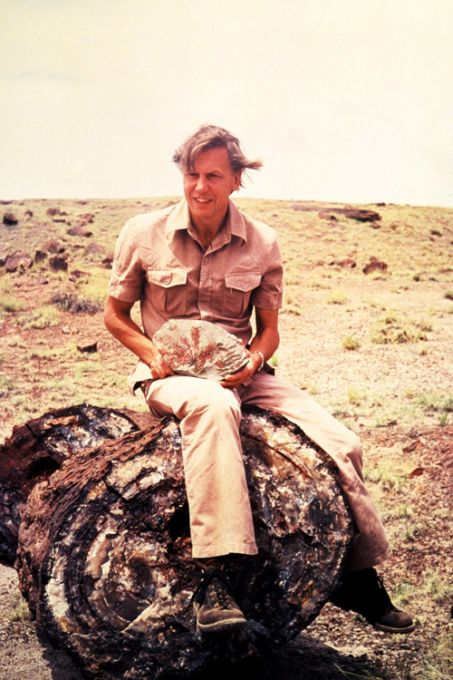 Best David Attenborough Documentaries To Stream On His 100th Birthday