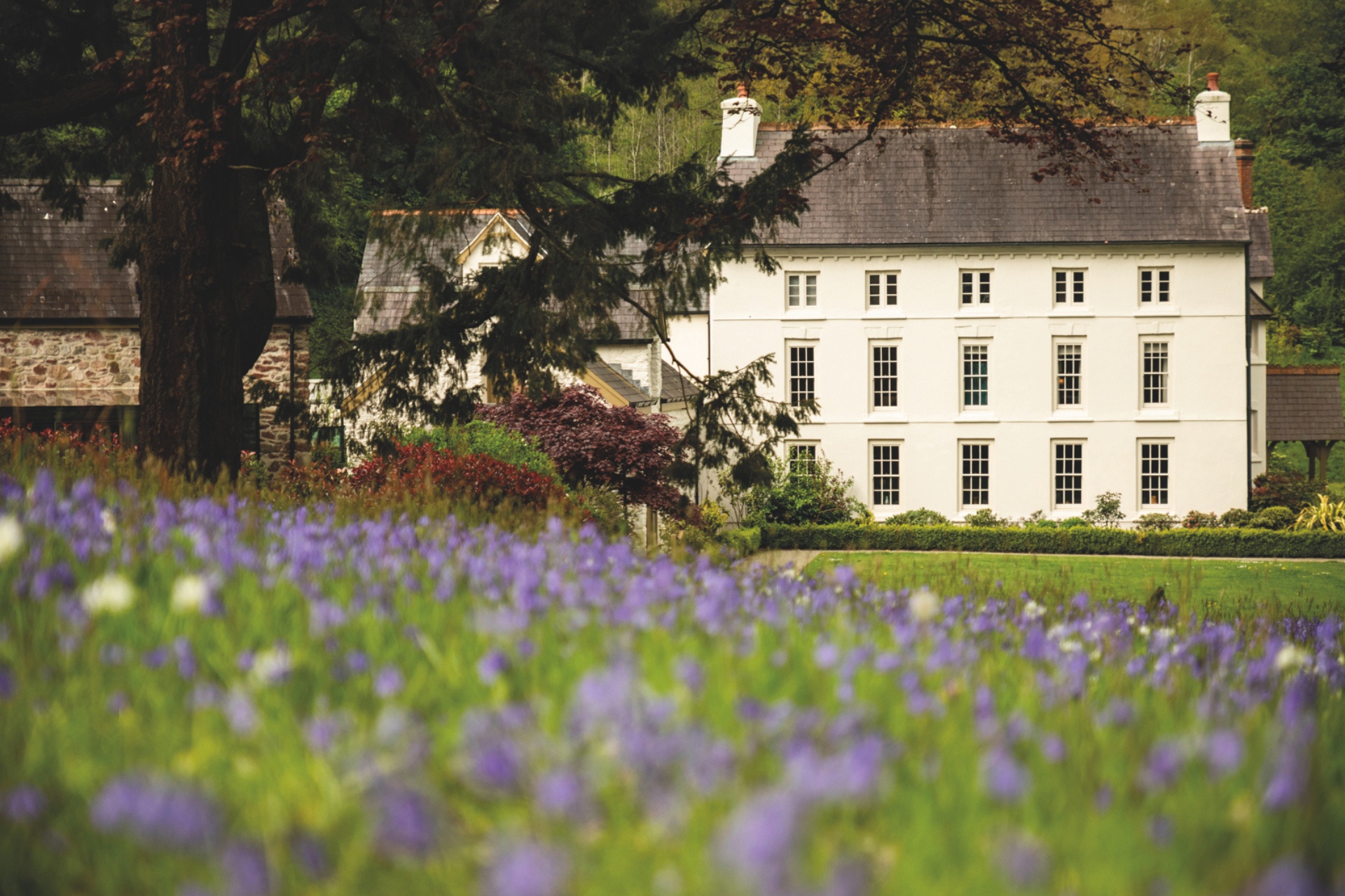 White building with field of purple flowers