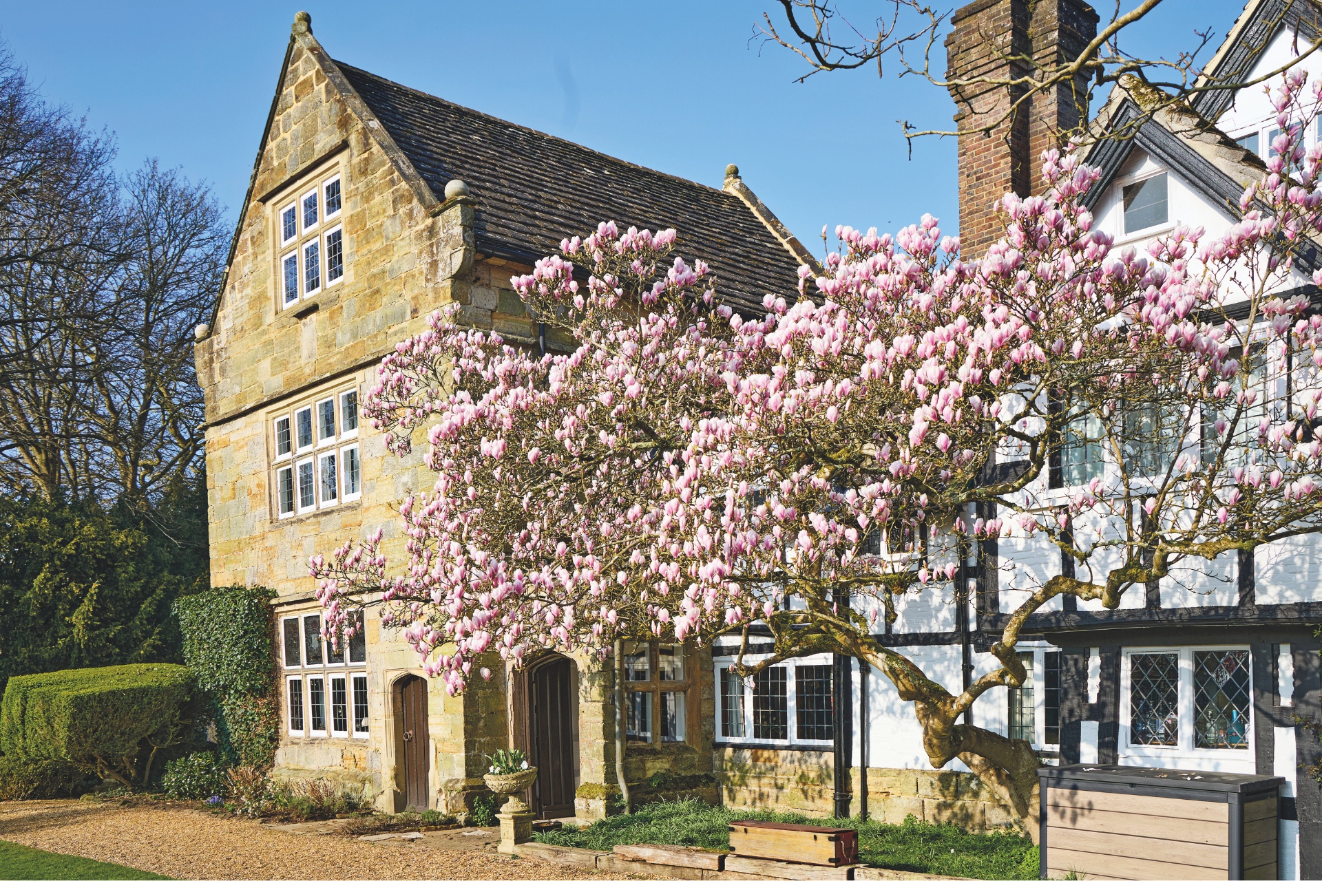 Hotel with cherry blossom trees