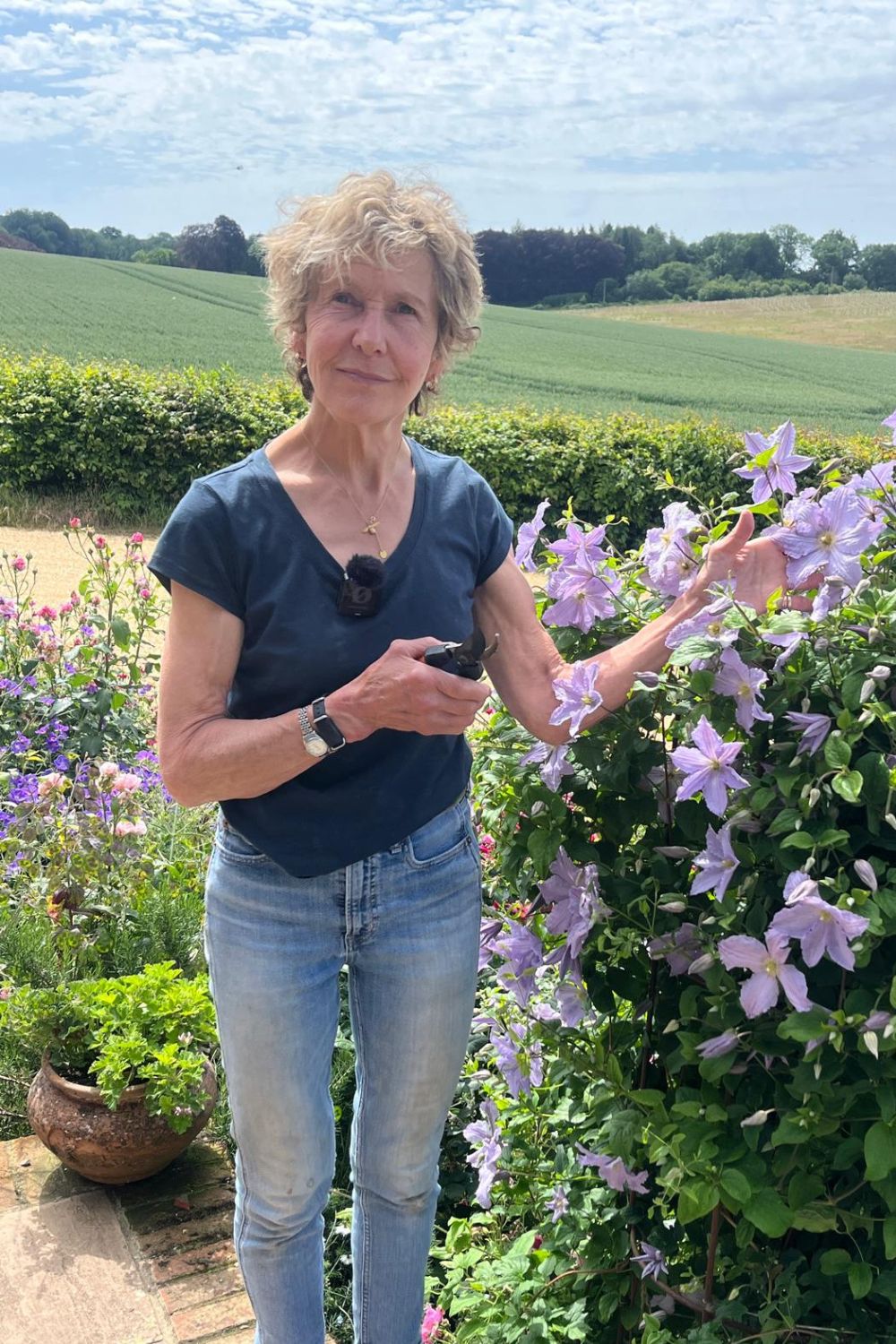 Easy Climbers For A Wow Factor: Which Climbers To Grow & Where To Plant Them
