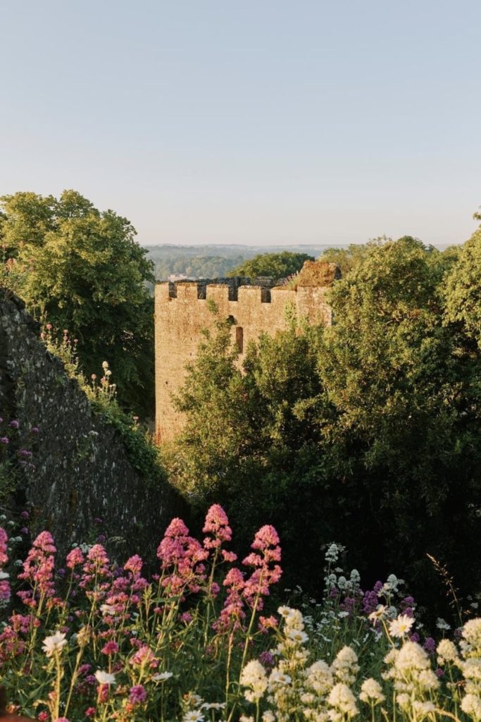 Inside the Garden of Tomorrow: Where Nature Is The Headline Act