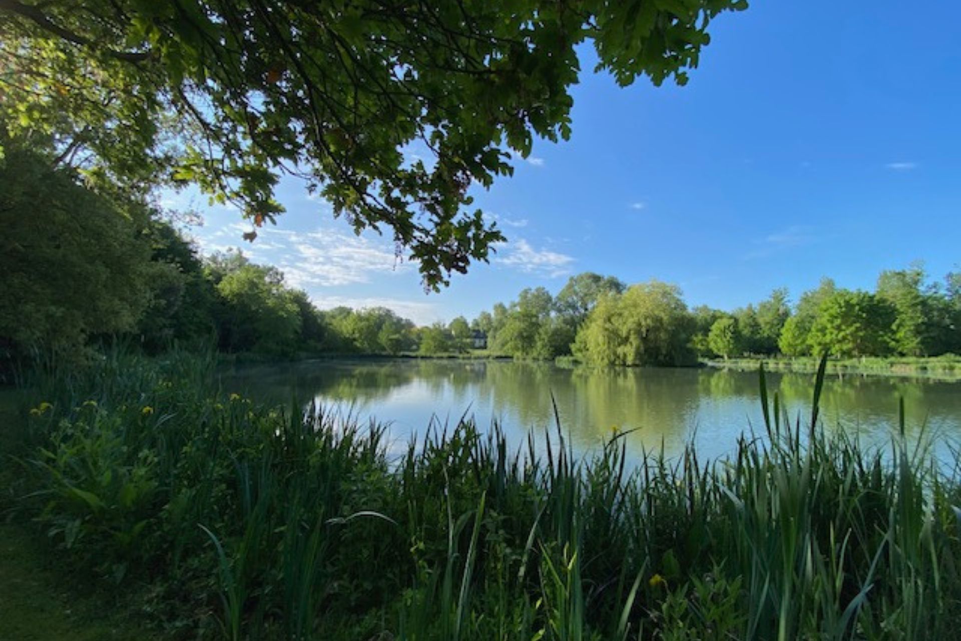 Domaine de Primard
