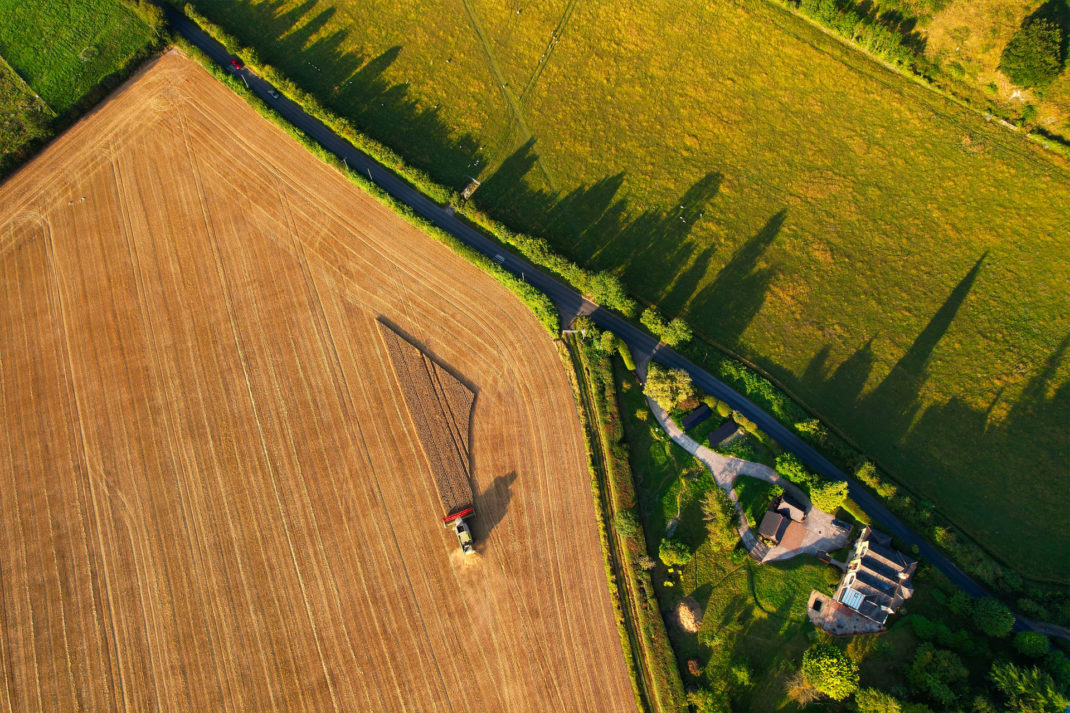 Opinion: The Nutritional Profile Of Regeneratively Grown Food Might Surprise You