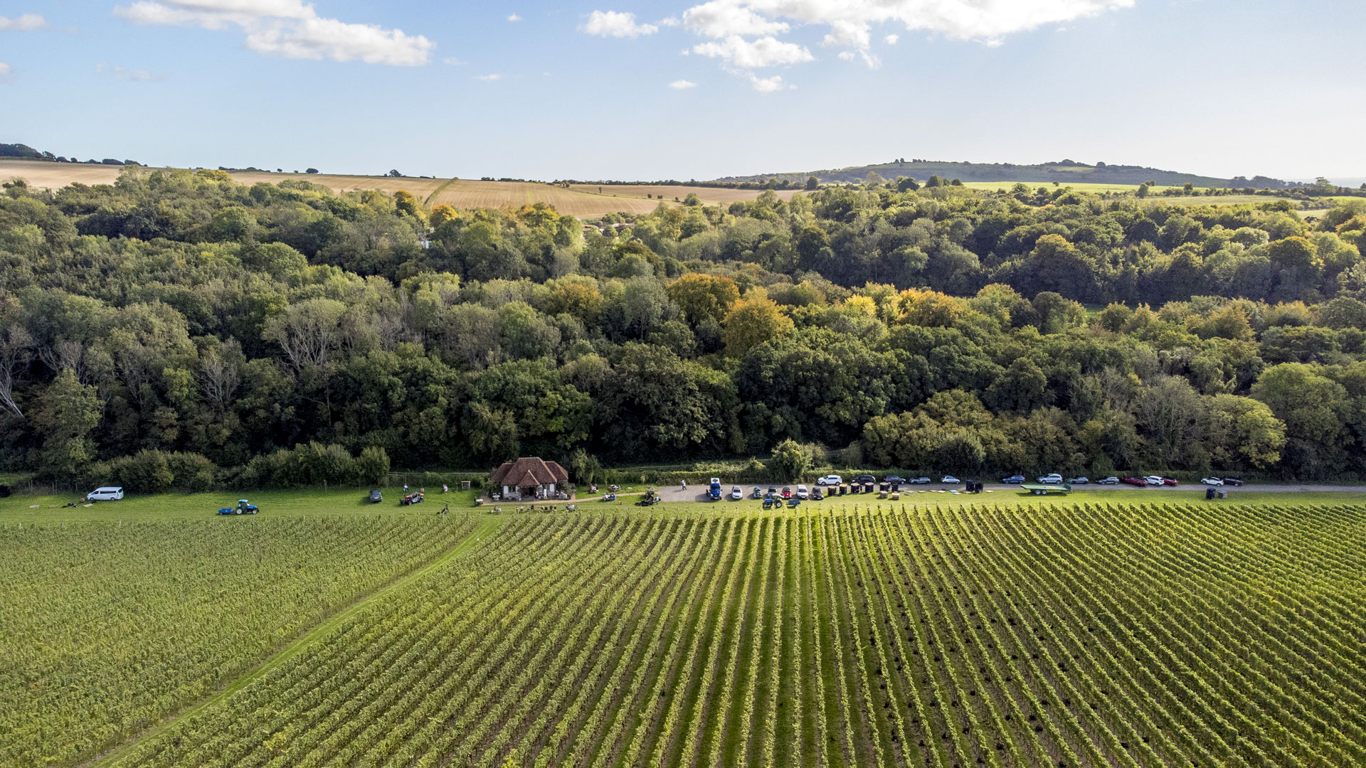 Wiston Estate harvest