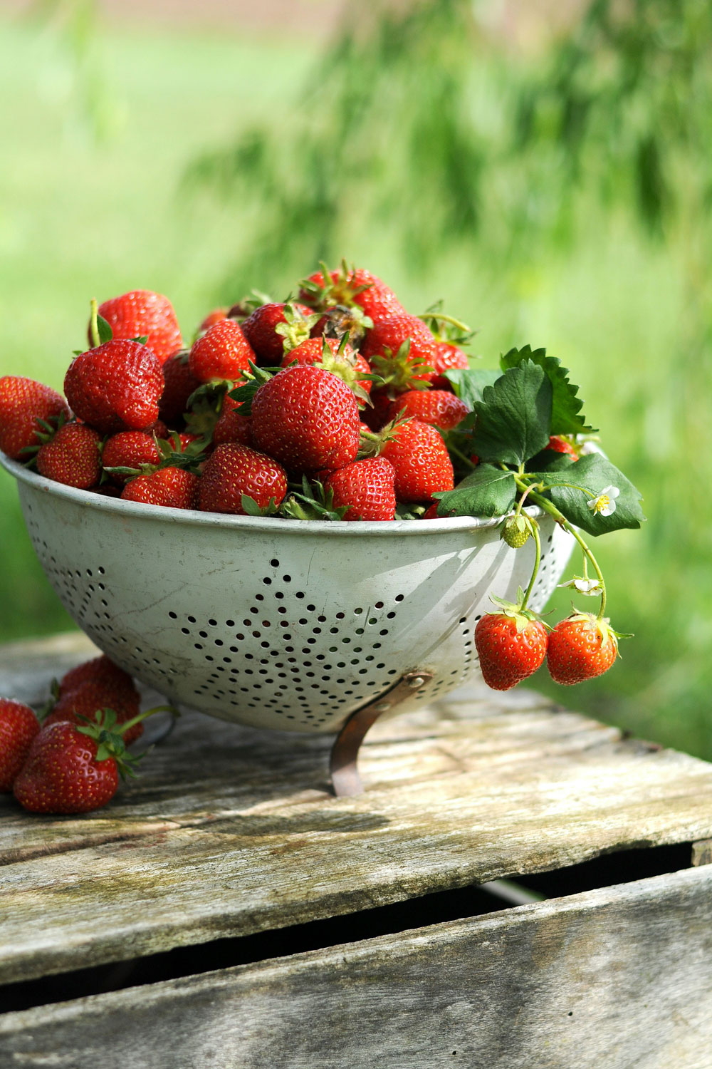 Strawberries