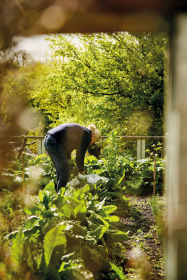 Woman gardening at Fowlescombe Farm