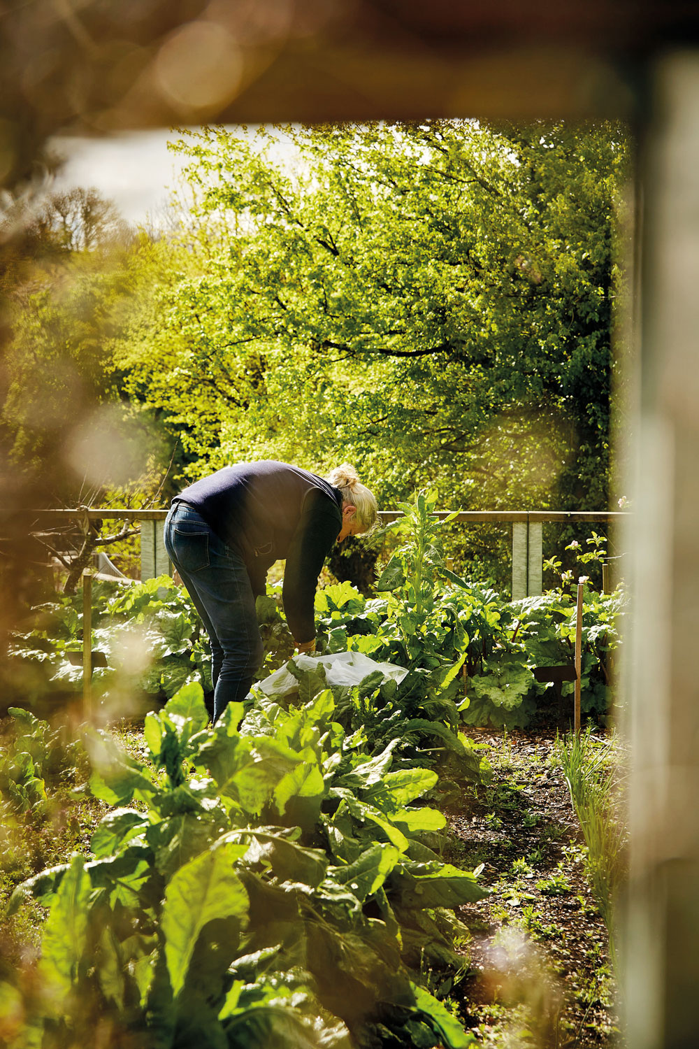 Grounding Wellness Stays To Reconnect You To The Earth