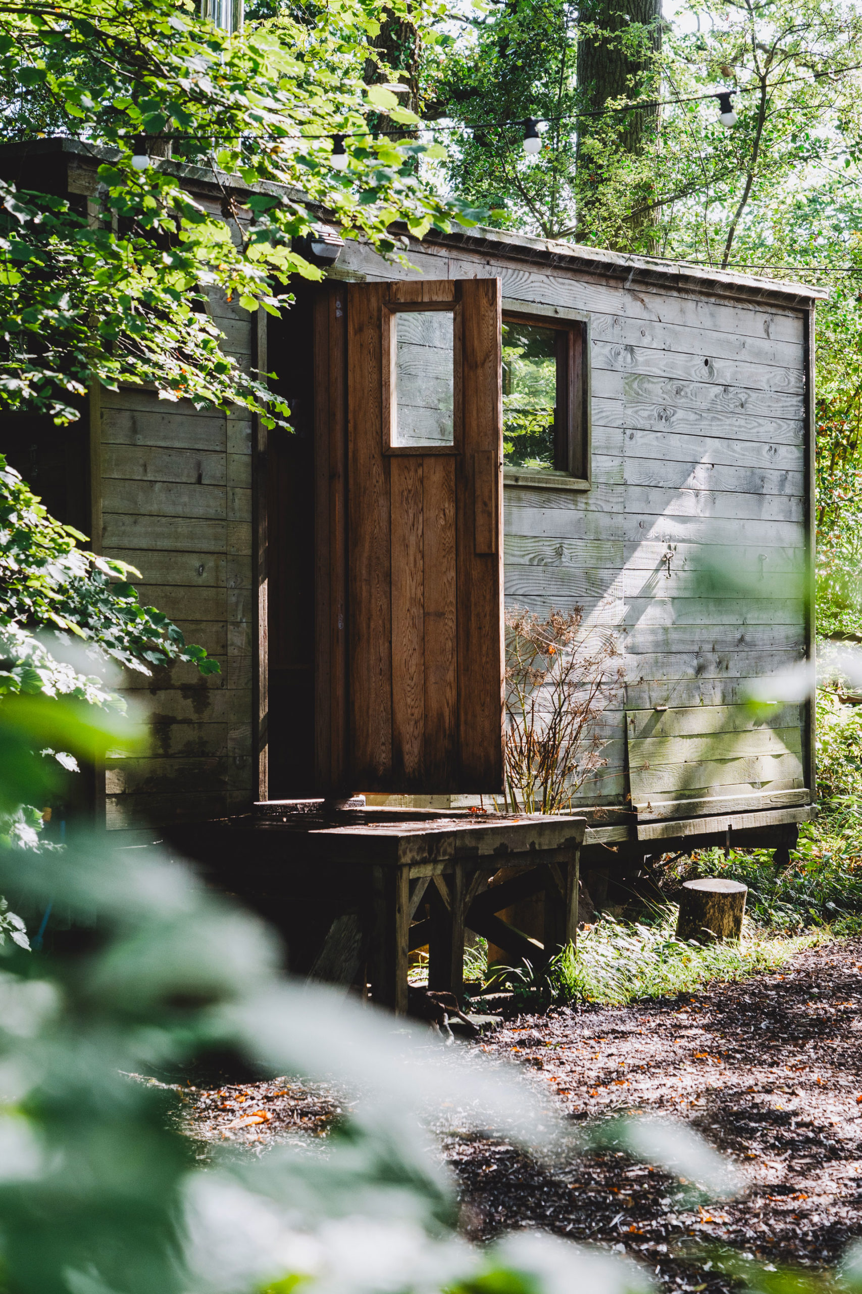 The 'wild' sauna in 42 Acres' woodland