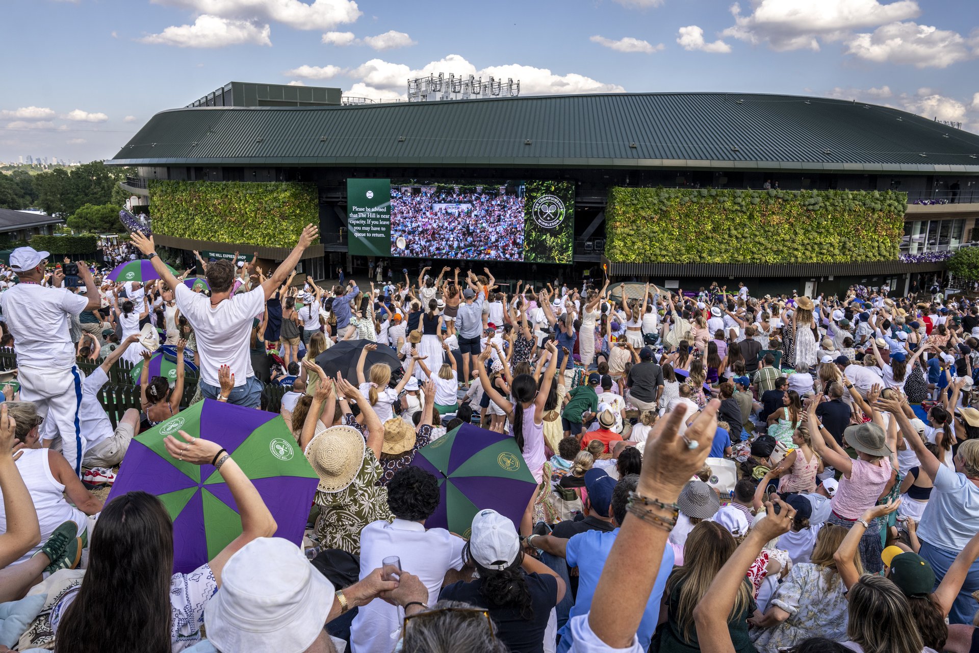 Spectators on The Hill watch the match between Jannik Sinner (ITA) and Carlos Alcaraz (ESP) in the final of the Gentlemen's Singles on Centre Court at The Championships 2025.