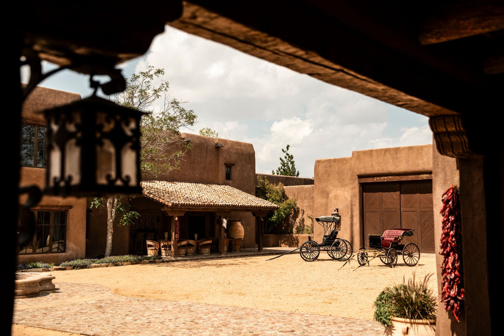 succession ranch