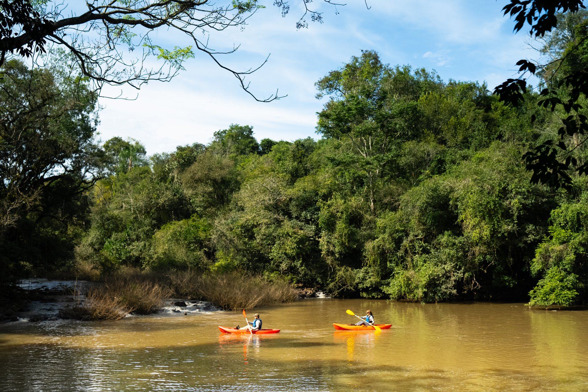 Two people kayaking in a murky river