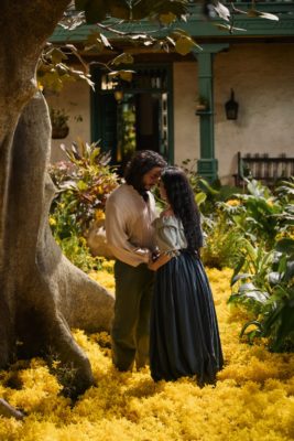 A couple embracing in a yellow field