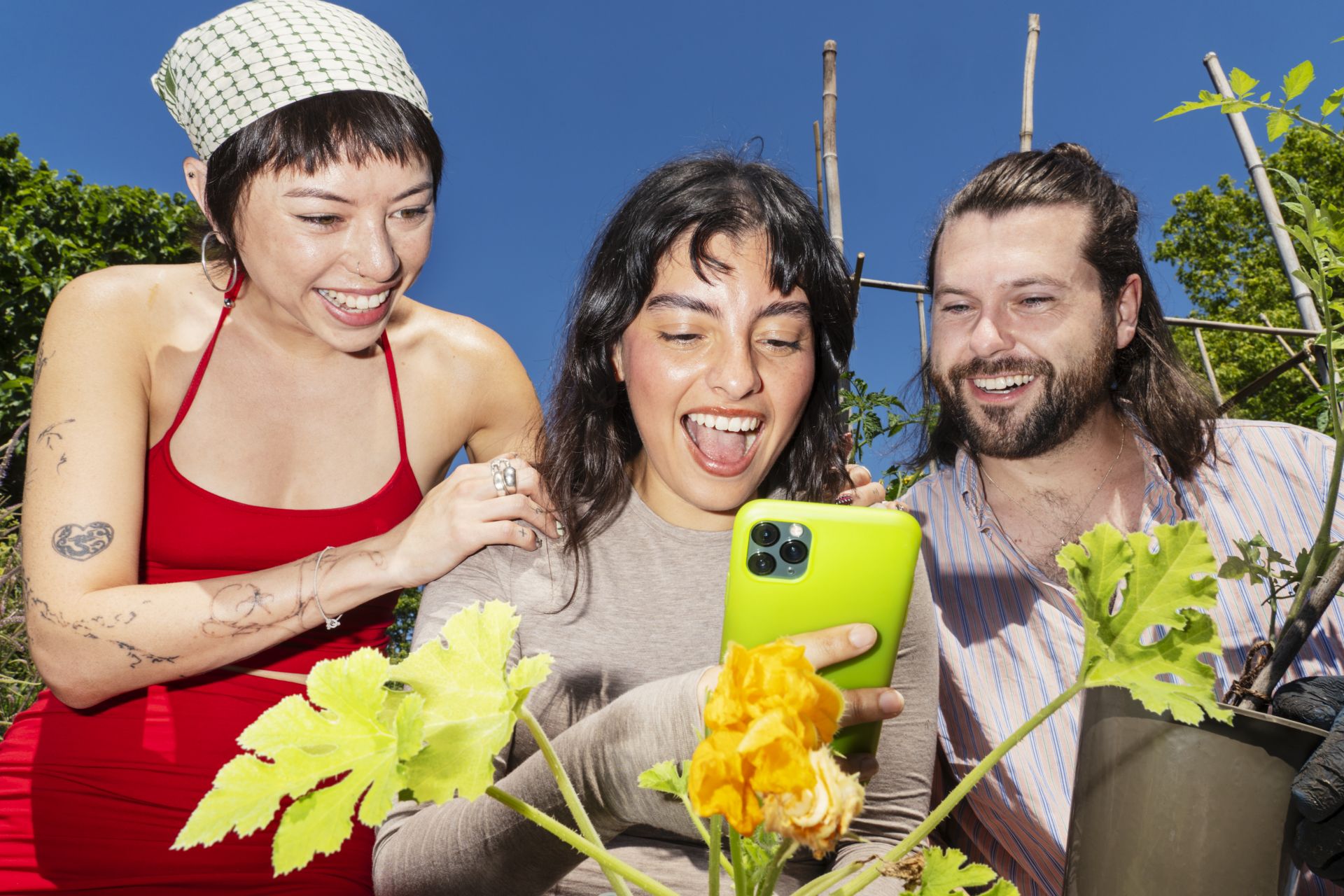 Meet Glitch – The Chatbot-Bug Reconnecting Us To Urban Green Spaces