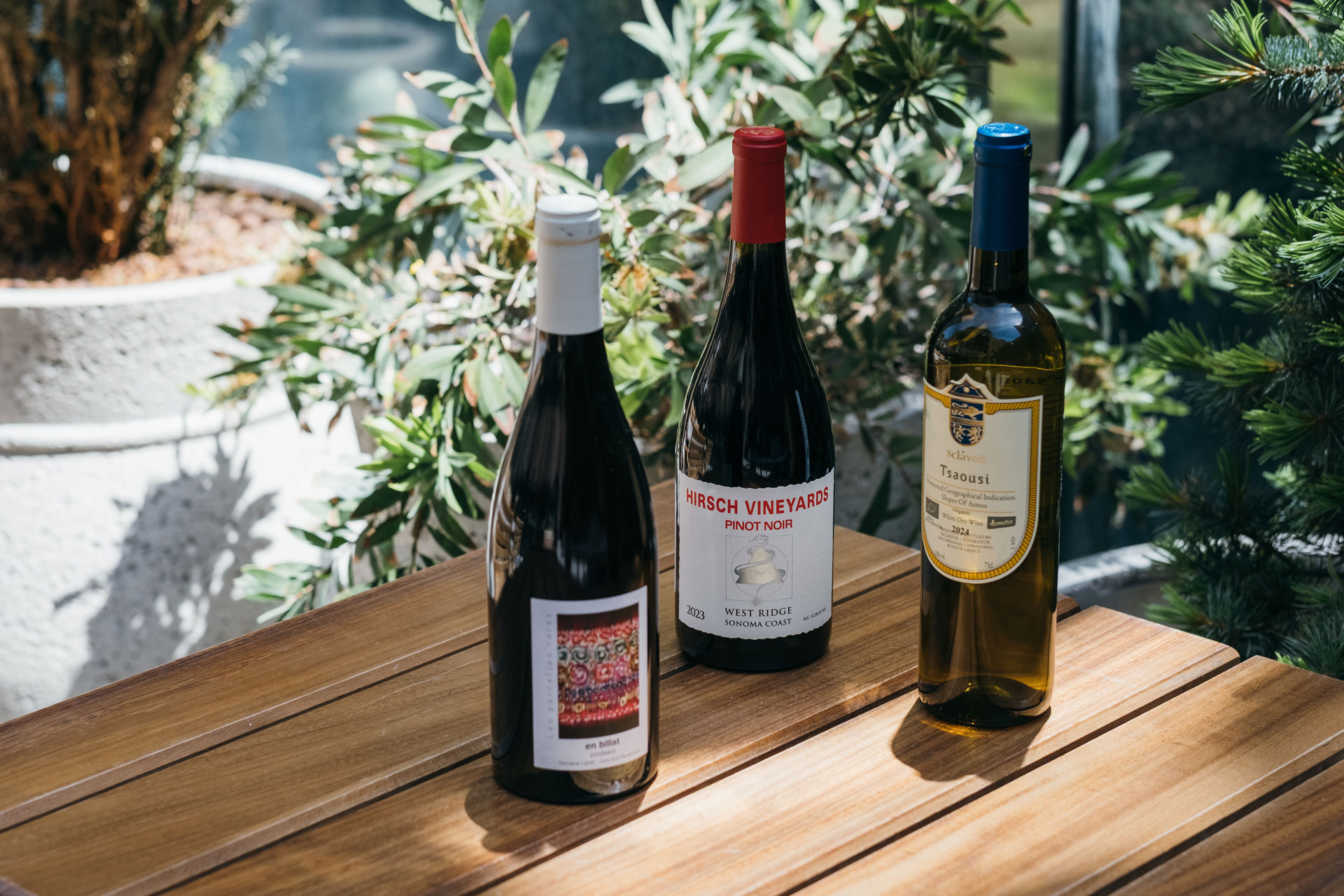 Bottles of wine at Bar Blondie