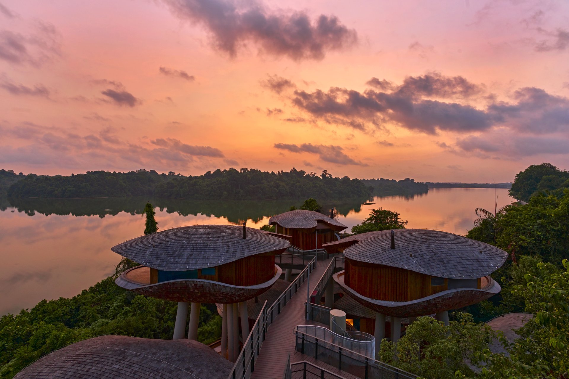 Mandai Rainforest Resort