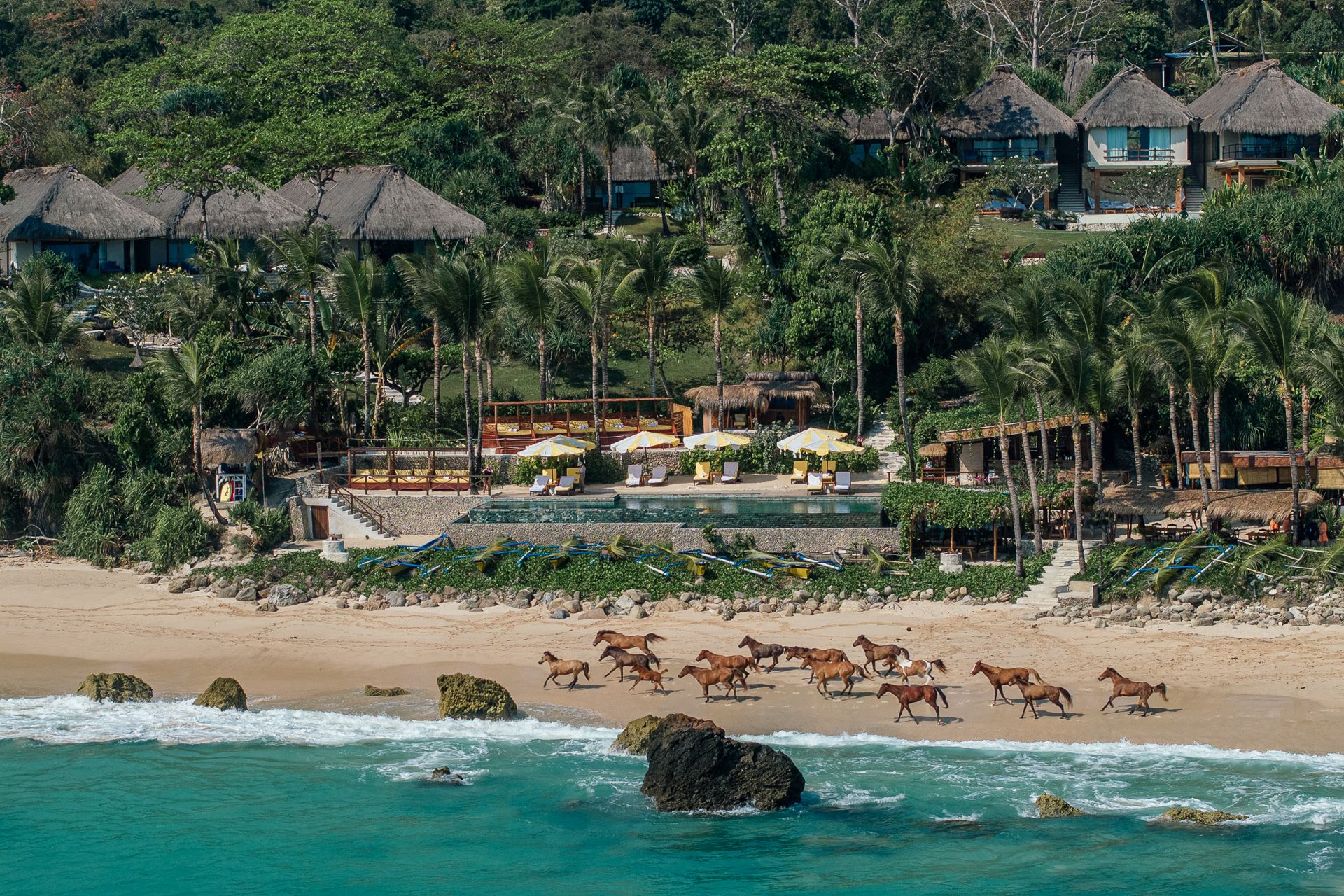 A beachside resort with sea lapping onto the shore and galloping horses