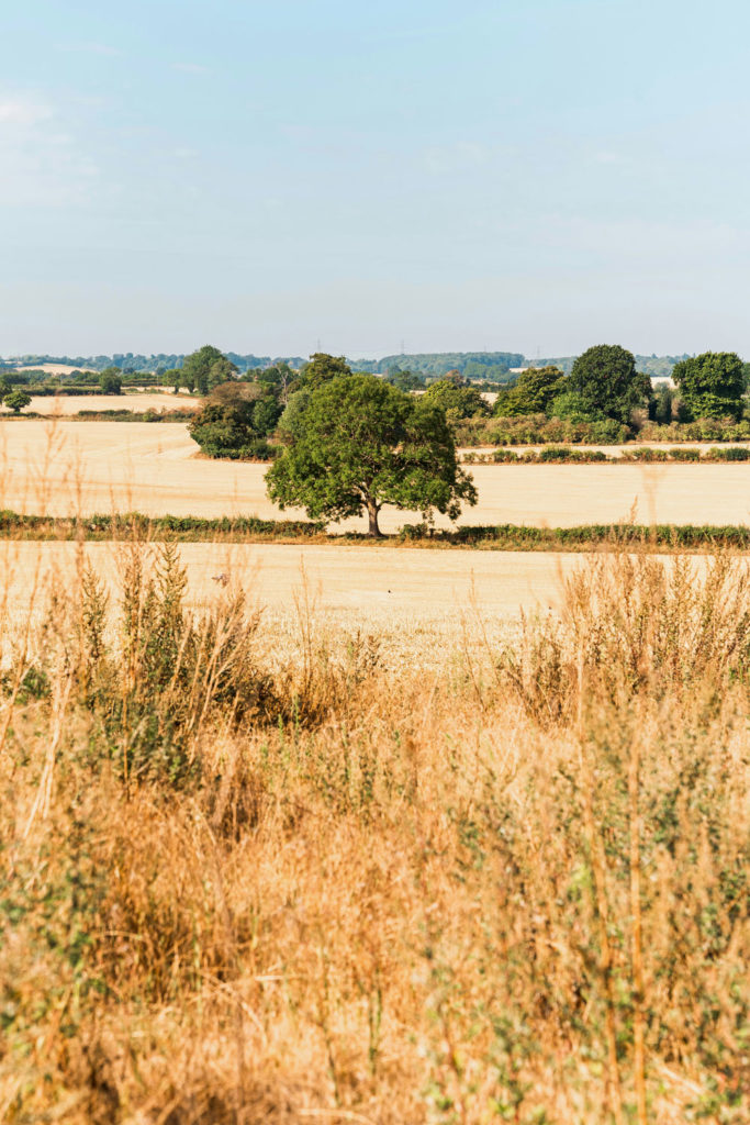 Half Of England Is In Drought – So How Can We Help Save Water?