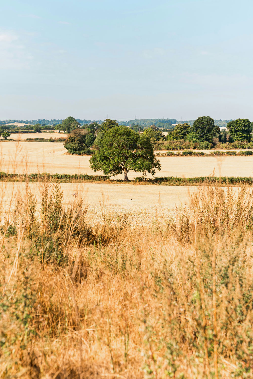 Half Of England Is In Drought – So How Can We Help Save Water?