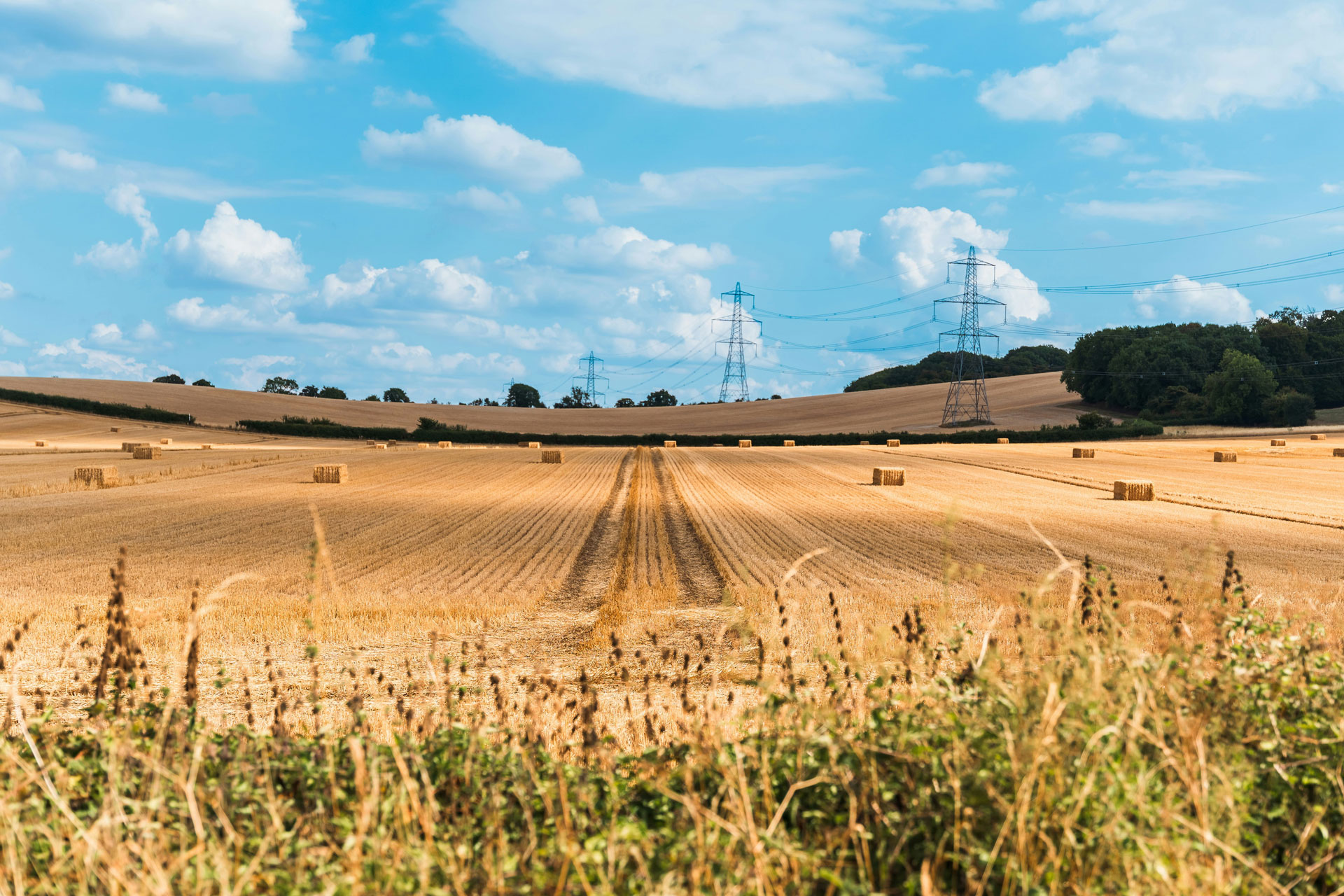 A dry farm in the UK