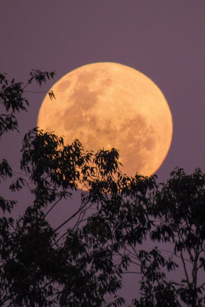 July’s Full Moon Will Rise This Week: All The Buck Moon Details