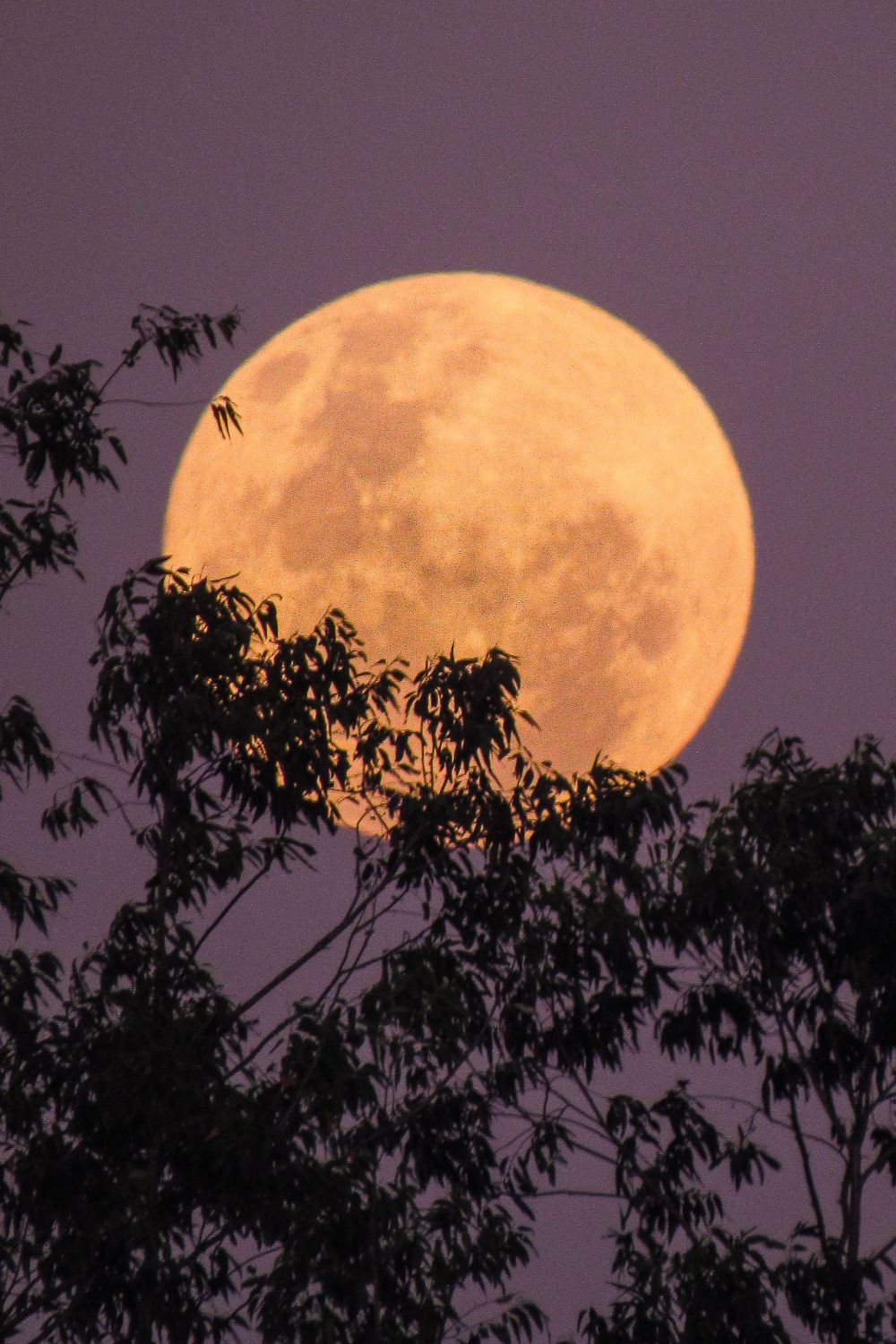 July’s Full Moon Will Rise This Week: All The Buck Moon Details