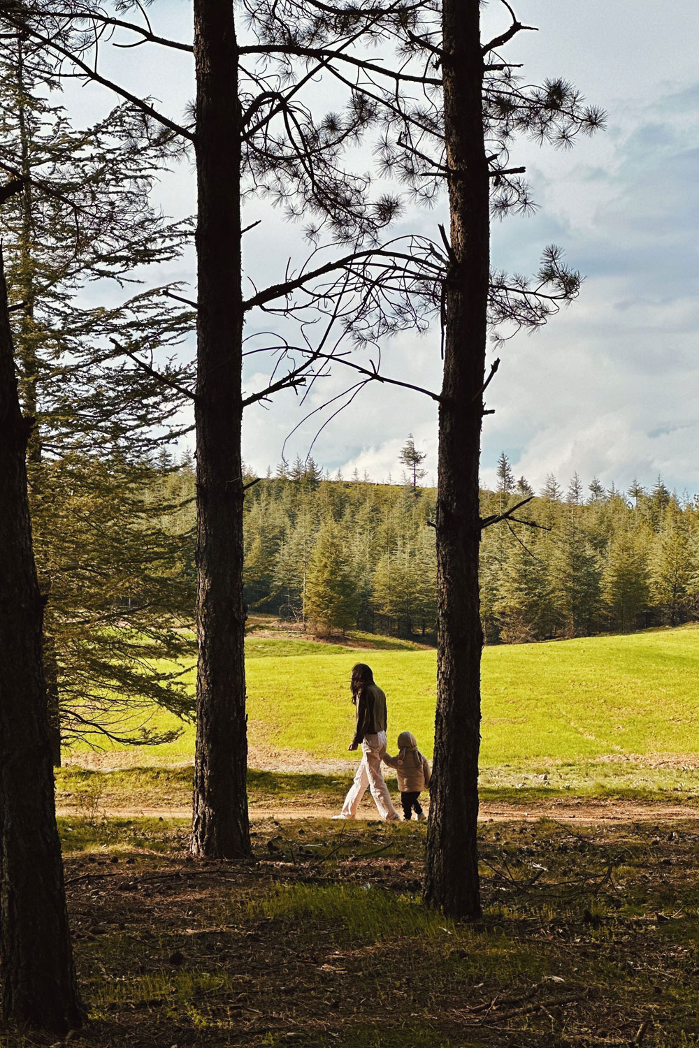 Walking in nature