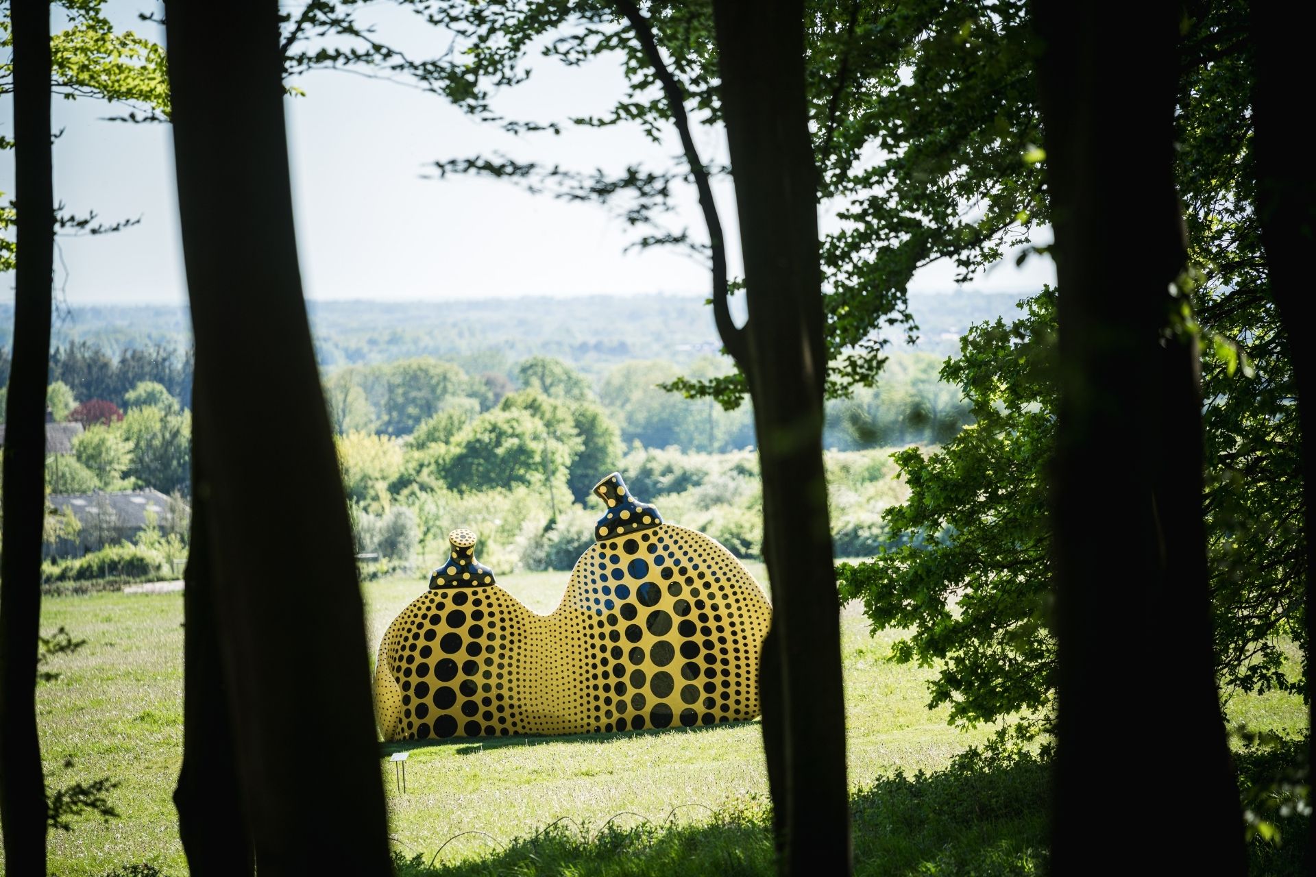 Goodwood art foundation
