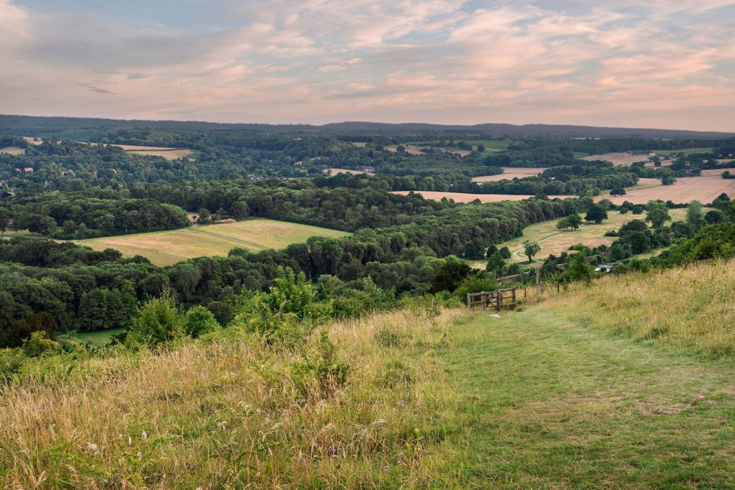Which Celebrities Live In Surrey? (& Where?)