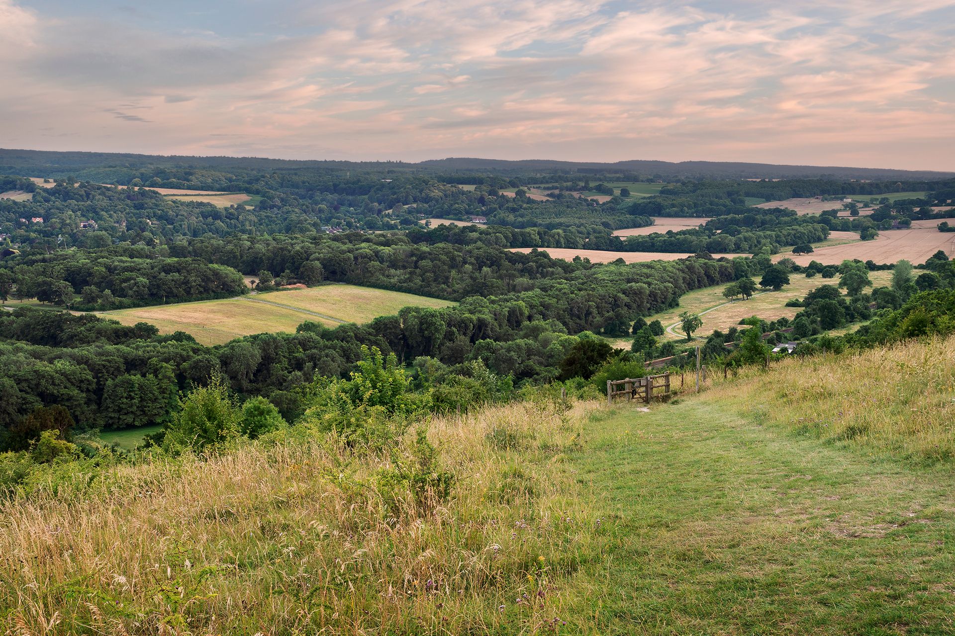 Which Celebrities Live In Surrey? (& Where?)
