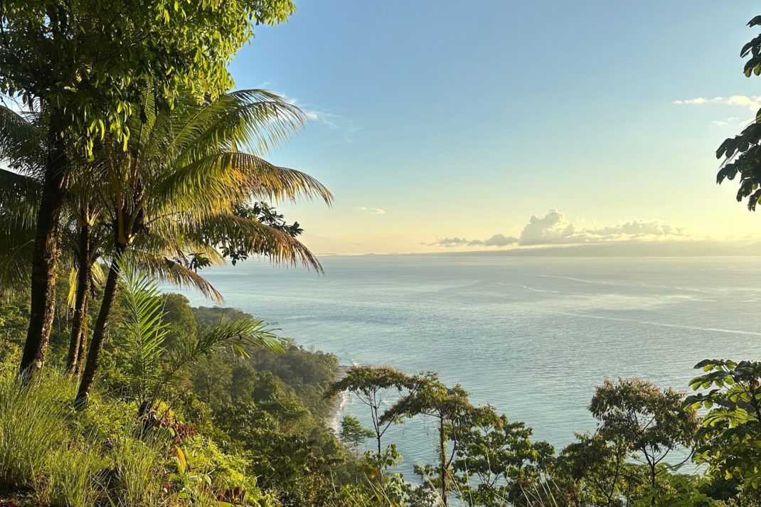 A Fashion Insider's Guide To Seeking Inspiration From Costa Rica's Osa Peninsula