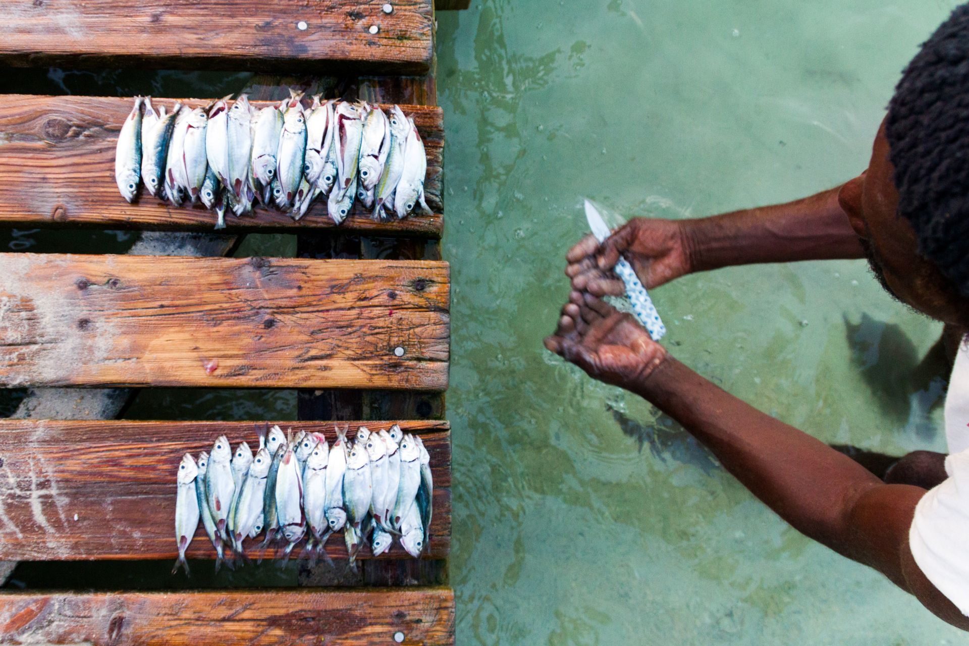 Overhead shot of a man sorting freshly caught fish