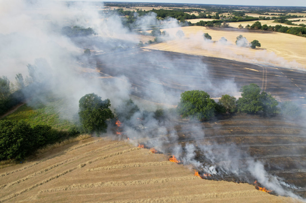 What’s It Like For Farmers During The UK Heatwave And Drought?