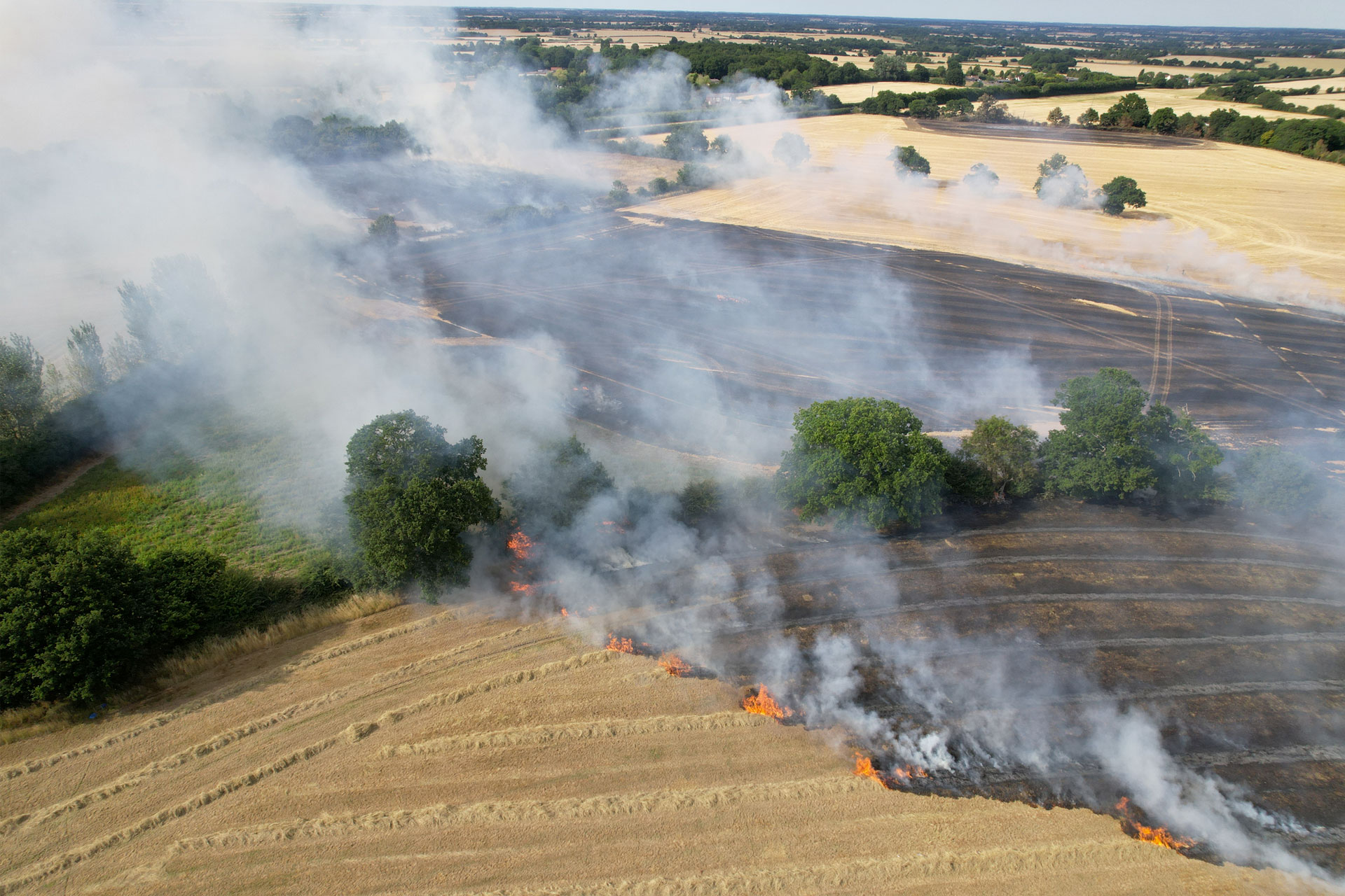 What’s It Like For Farmers During The UK Heatwave & Drought?